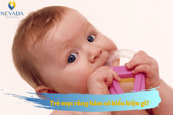 trẻ mọc răng hàm có biểu hiện gì, Dấu hiệu trẻ mọc răng hàm, bé mọc răng hàm có biểu hiện gì, trẻ mọc răng hàm sốt bao lâu, trẻ mọc răng hàm trên trước, trẻ mọc răng hàm nào trước, trẻ mọc răng hàm trước, trẻ mọc răng hàm biếng ăn, trẻ mọc răng hàm sớm, trẻ mọc răng hàm có sốt không, trẻ mọc răng hàm thường sốt mấy ngày, trẻ mọc răng hàm sốt bao lâu, trẻ mọc răng hàm sốt bao nhiêu ngày, trẻ sốt mọc răng hàm bao lâu thì khỏi, trẻ mọc răng hàm trên trước, trẻ mọc răng hàm nào trước, trẻ mọc răng hàm có sốt cao không, trẻ mọc răng hàm trước, trẻ mọc răng hàm biếng ăn, trẻ mọc răng hàm có sốt không, trẻ mọc răng hàm thường sốt mấy ngày
